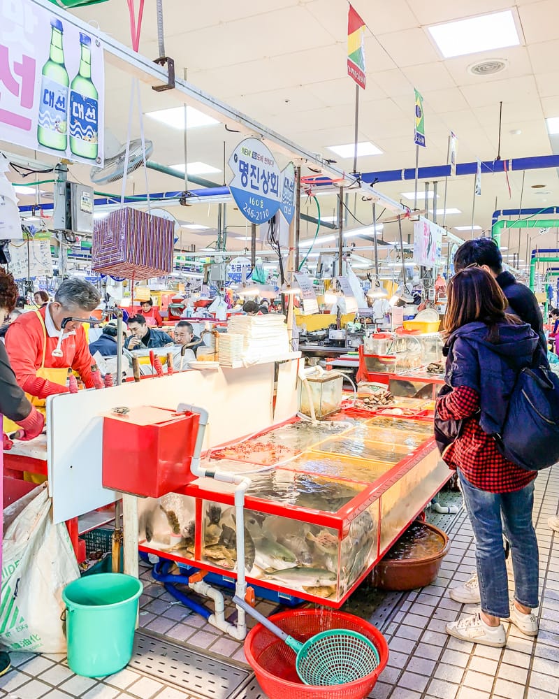 Busan Jagalchi Fish Market